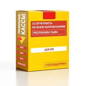 Отчетность_ИП_Республика Тыва
